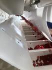Key Technologies Advanced Laser Sorter, Model Taurys.