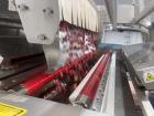 Key Technologies Advanced Laser Sorter, Model Taurys.