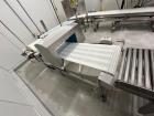 Used Loma IQ3550MM x 250MM Conveyor Mounted Metal Detector.