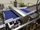 Used Safeline Mettler Toledo Metal Detector