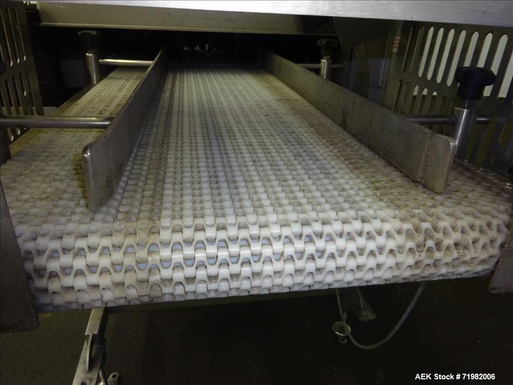 Used Sesotec Raycon X-Ray Food Inspection System, Type 450/100 US-INT 50