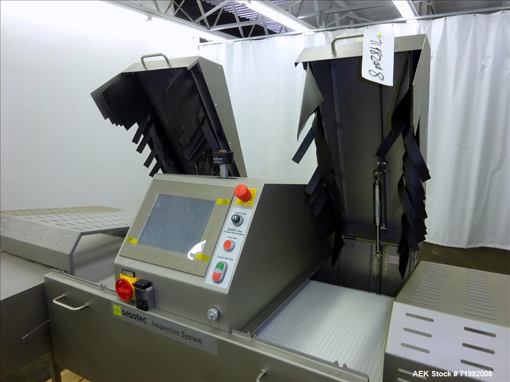 Unused- Sesotec Raycon X-Ray Food Inspection System, Type 450/100 US-INT.