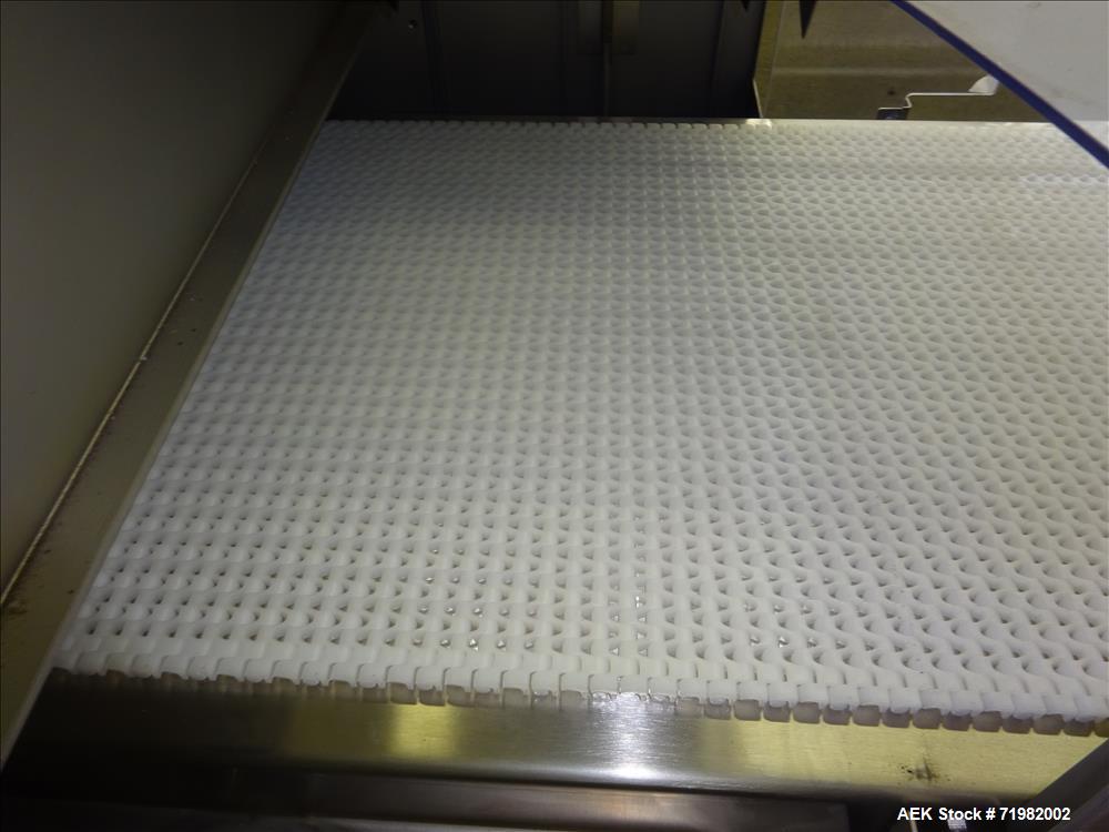 Used Sesotec Raycon X-Ray Food Inspection System, Type 450/100 US-INT 50