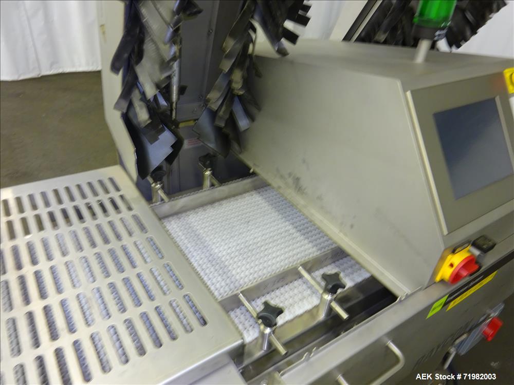 Used- Sesotec Raycon X-Ray Food Inspection System, Type 450/100 US-INT 50.