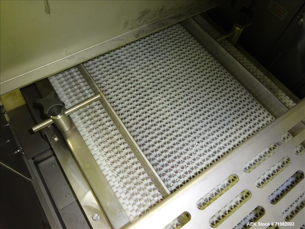 Used Sesotec Raycon X-Ray Food Inspection System, Type 450/100 US-INT 50.