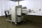 Used- Sesotec Raycon X-Ray Food Inspection System, Type 450/100 US-INT 50.