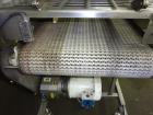 Used Sesotec Raycon X-Ray Food Inspection System, Type 450/100 US-INT 50