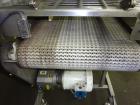 Used- Sesotec Raycon X-Ray Food Inspection System, Type 450/100 US-INT 50