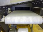 Unused- Sesotec Raycon X-Ray Food Inspection System, Type 450/100 US-INT.