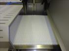 Unused- Sesotec Raycon X-Ray Food Inspection System, Type 450/100 US-INT.