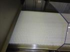 Used Sesotec Raycon X-Ray Food Inspection System, Serial # 11422018352-X.