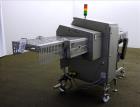 Used Sesotec Raycon X-Ray Food Inspection System, Type 450/100 US-INT 50.