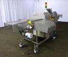 Used Sesotec Raycon X-Ray Food Inspection System, Type 450/100 US-INT 50.