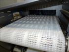 Never Used-Sesotec Raycon X-Ray Food Inspection System, Type 450/100 US-INT 50.  Serial # 10007944-X.  Max Product Dimensions; 450 x 100 mm.  Has an integrated conveyor belt approximate 19.5