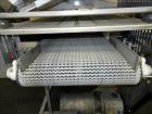 Used- Sesotec Raycon X-Ray Food Inspection System, Type 450/100 US-INT 50