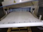 Used Sesotec Raycon X-Ray Food Inspection System, Type 450/100 US-INT 50.  Serial # 11421018289-X.    Max Product Dimensions; 450 x 100 mm.  Has an integrated conveyor belt approximate 19.5