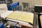 Used Master Conveyor Corporation Automated Palletizer System with Pallet Wrapper, Metal Detector & Conveyors