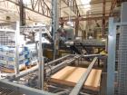 Used Zygot Low Level Palletizer System (Up to 900 Bags per hour).