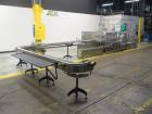 Used Marchesini Model MCP840 Combination Case Packer and Palletizer