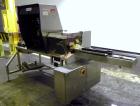 Used Seidenader Model V90-AVSB/60-LR Vial Inspection Machine. Capable of speeds up to 150 objects per minute. Has starwheel tray infeed and straight line discharge to tray. Machine equipped for vials...