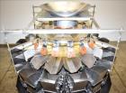 Used Ishida Dimpled/Embossed Bucket Combination Net Weigh Scale
