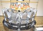 Used Ishida Dimpled/Embossed Bucket Combination Net Weigh Scale