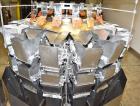 Used Ishida Dimpled/Embossed Bucket Combination Net Weigh Scale