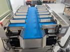 Yamato TSD-N3 Semi-Automatic Multihead Weighing Machine
