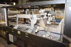 Arpac Model 45TW-28-RH Multipack Continuous Motion Tray Shrink Wrapper