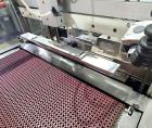Arpac Model 708HBD-32 Automatic Dual Lane Shrink Bundler