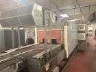 Used Arpac Dual Lane Bundler, Model BPMP-DL