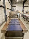 Used PMI SIB-30 Automatic Inline Shrink Bundler with Tunnel – 30 PPM, AB Controls, Film Rolls Included