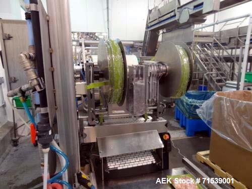 Used Multivac Darfresh Skin Packaging System, Model R175 CD. 220 volt, 3-phase, 60 Hz, 82 amp, 14.5 kW. 420mm bottom web  semi rigid. 250mm advance, 20" loading area, 14 ft. long overall. Film trim w...