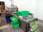 Used Multivac Darfresh Skin Packaging System, Model R175 CD. 220 volt, 3-phase, 60 Hz, 82 amp, 14.5 kW. 420mm bottom web  semi rigid. 250mm advance, 20