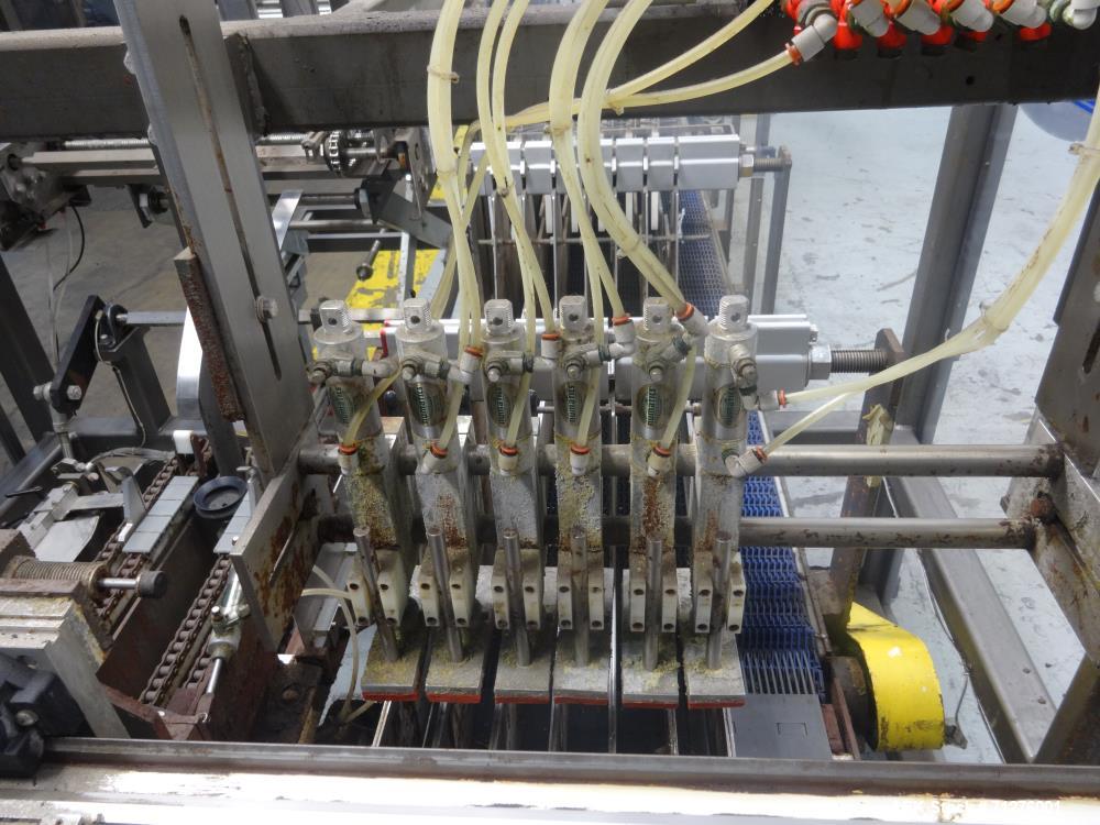 Used Arpac Intermittent Motion End-Load Tray/Case Erector and Packer
