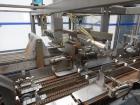 Used Arpac Intermittent Motion End-Load Tray/Case Erector and Packer