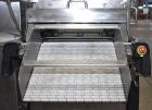 Multivac T-300 Automatic Food Tray Sealer