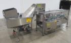 Buy Used Pace 300 Bottle Unscrambler – With Air Rinse, Elevator & Lakso Reject System