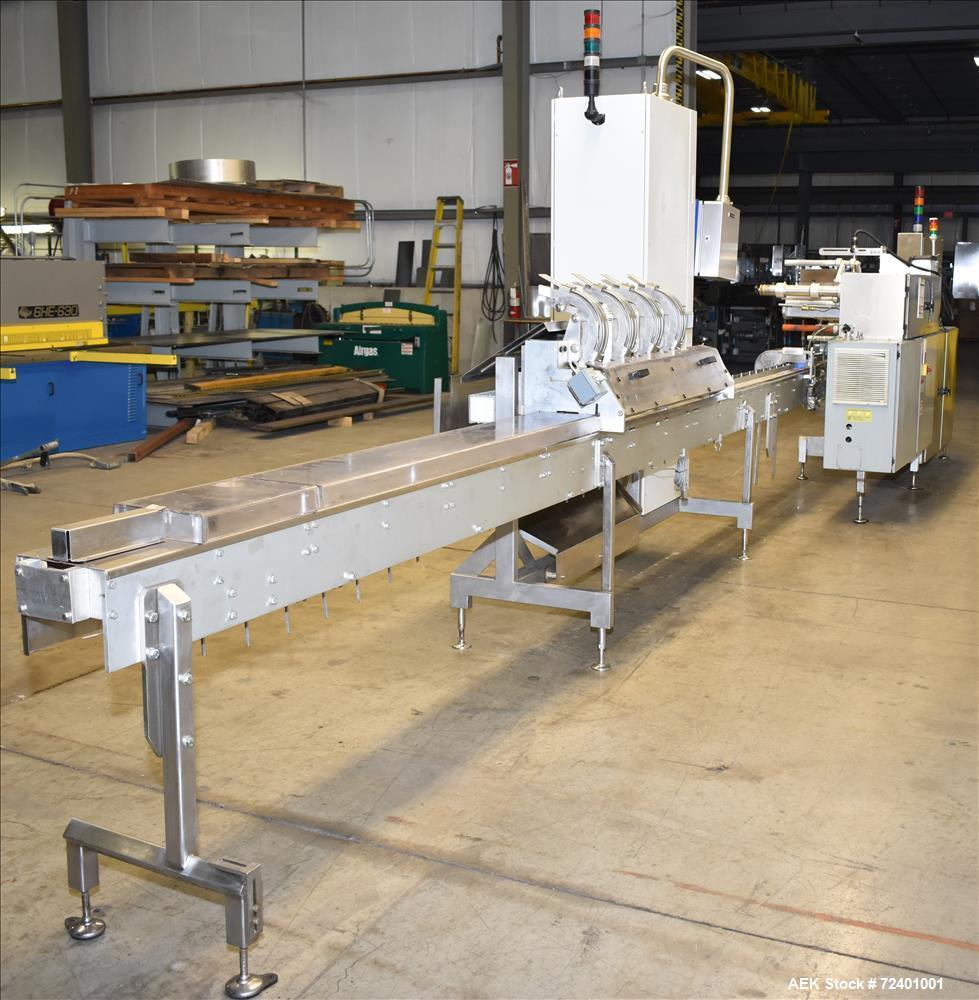 Used Delta Systems Eagle High Speed Automatic Horizontal Flow Wrapper