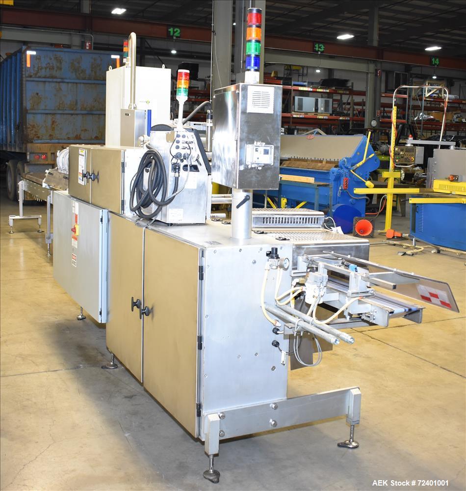 Used- Delta Systems Eagle High Speed Automatic Horizontal Flow Wrapper