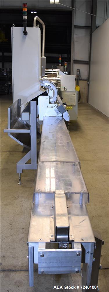 Used Delta Systems Eagle High Speed Automatic Horizontal Flow Wrapper