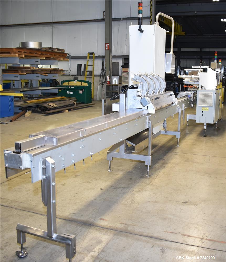 Used- Delta Systems Eagle High Speed Automatic Horizontal Flow Wrapper