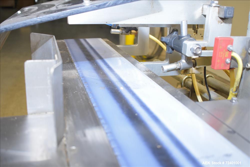 Used Delta Systems Eagle High Speed Automatic Horizontal Flow Wrapper