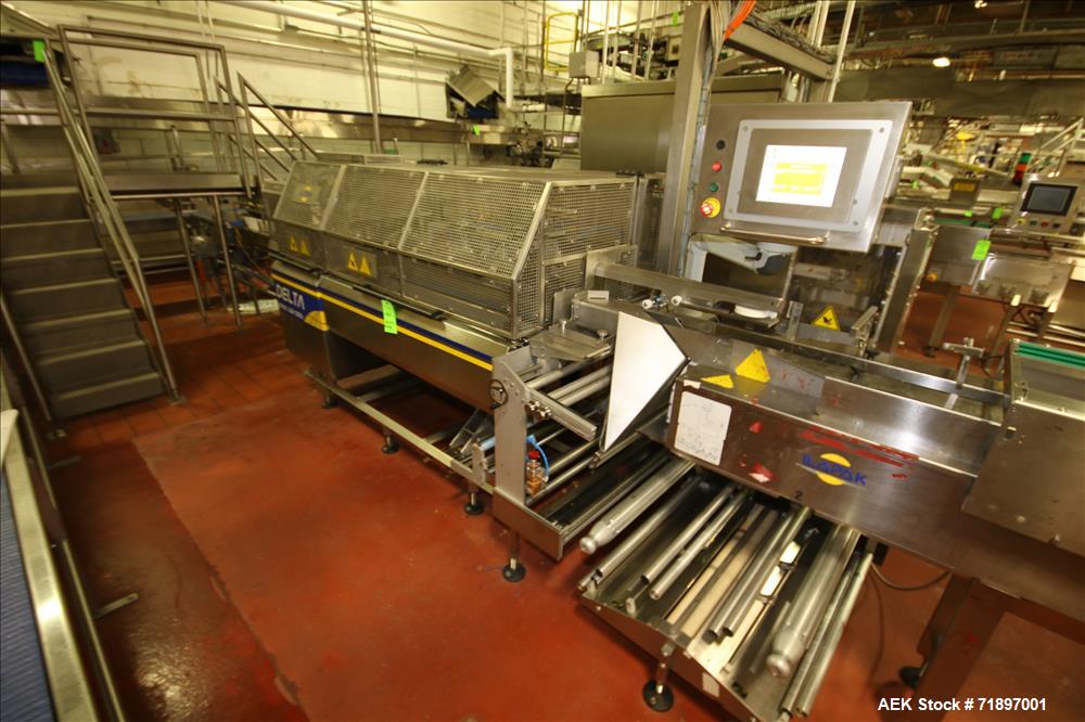 Used Ilapak Delta 4000 LDR-3SSC Horizontal Flow Wrapper