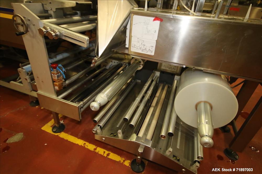 Used Ilapak Delta 4000 LDR-3SSC Horizontal Flow Wrapper