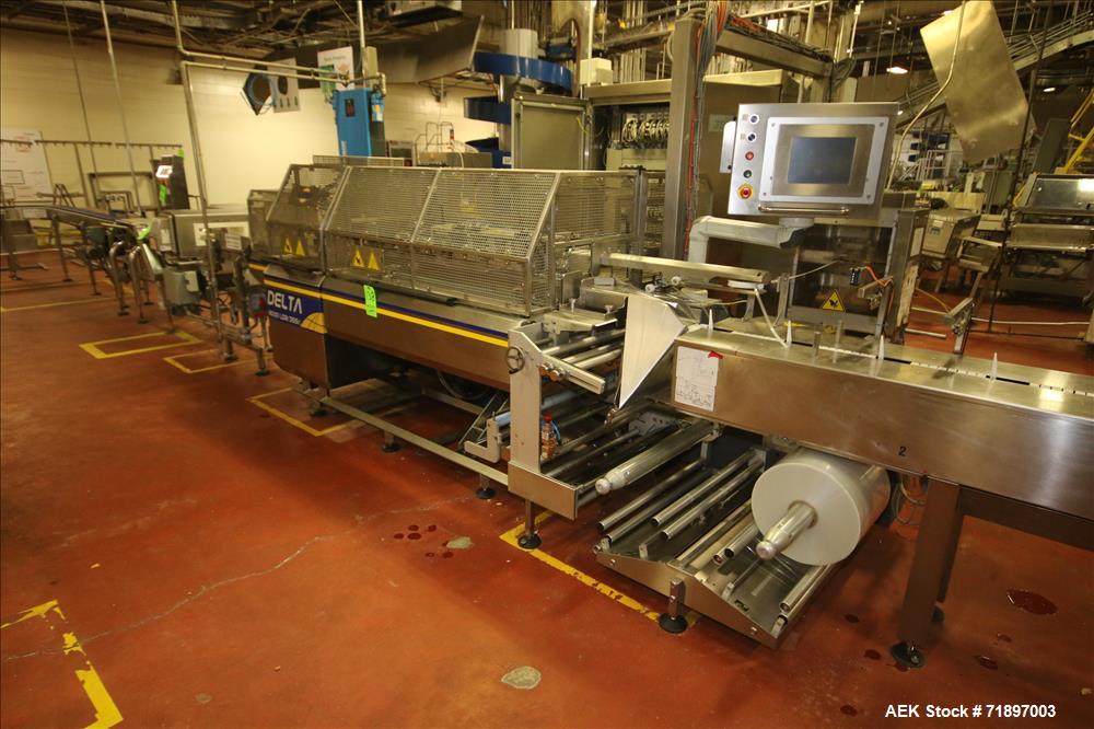 Used Ilapak Delta 4000 LDR-3SSC Horizontal Flow Wrapper