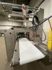 Used Bosch Pack 102 Horizontal Flow Wrapper
