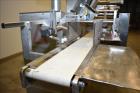 Used Delta Systems S/S Flo Wrapper with Koyo Direct Logic 205 PLC Controls