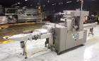 Used- Bosch Doboy Linium 303 Long Dwell Horizontal Flow Wrapper.