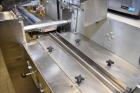 Used Delta Systems Eagle High Speed Automatic Horizontal Flow Wrapper